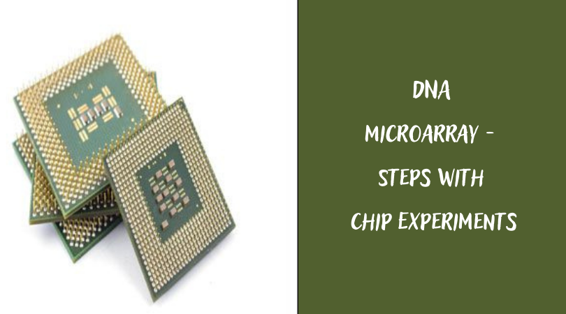 DNA Microarray - Steps with Chip Experiments