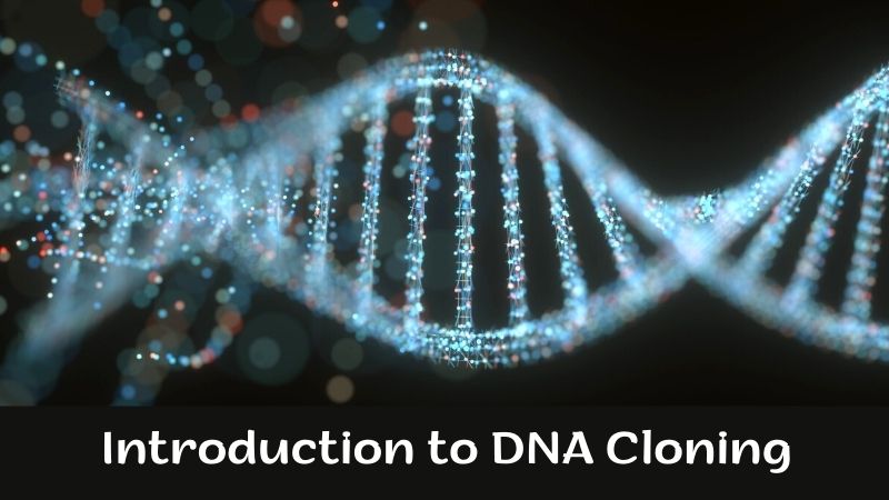 Introduction to DNA Cloning