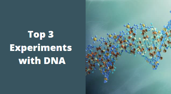 top 3 experiments with dna