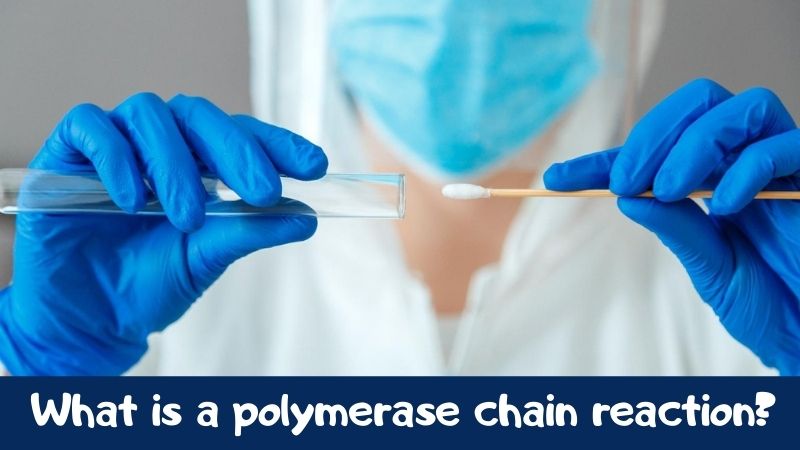 What is a polymerase chain reaction